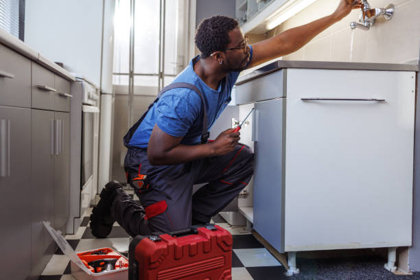 Best Garbage Disposal Repair and Installation  in Lake Linden, MI